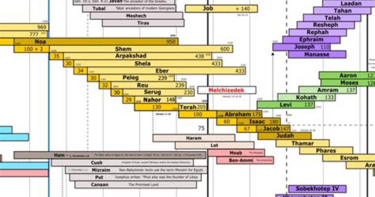 From 2006 to Today a Complete Chronology of the Trigo De Jesus