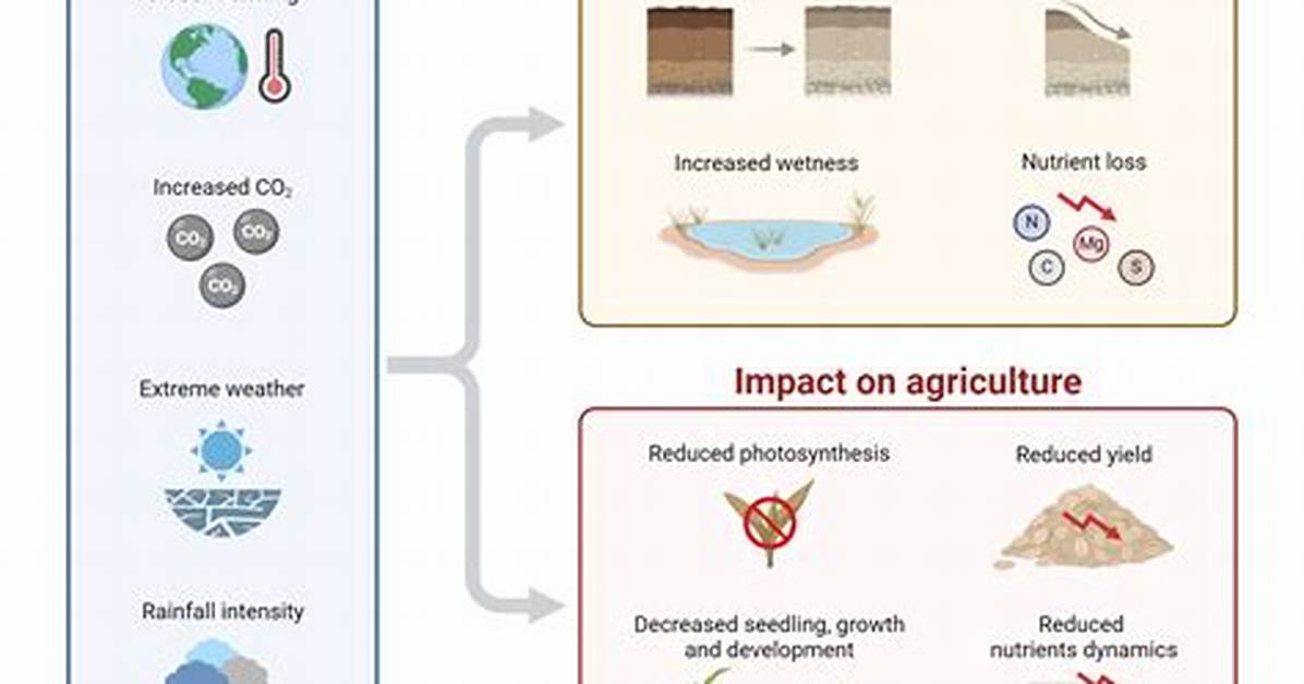 From Historic Soils to Modern Scarcity the Evolution of Today S