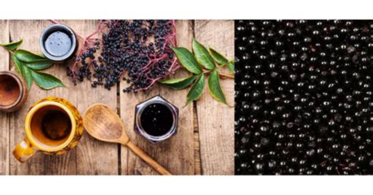 From Niche Superfood to Morning Staple the Chia Seed