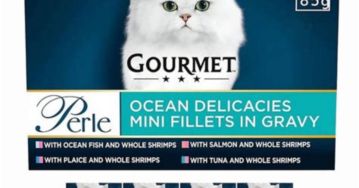 From Ocean Pests to Gourmet Delicacies How Living Barnacles Sparked A