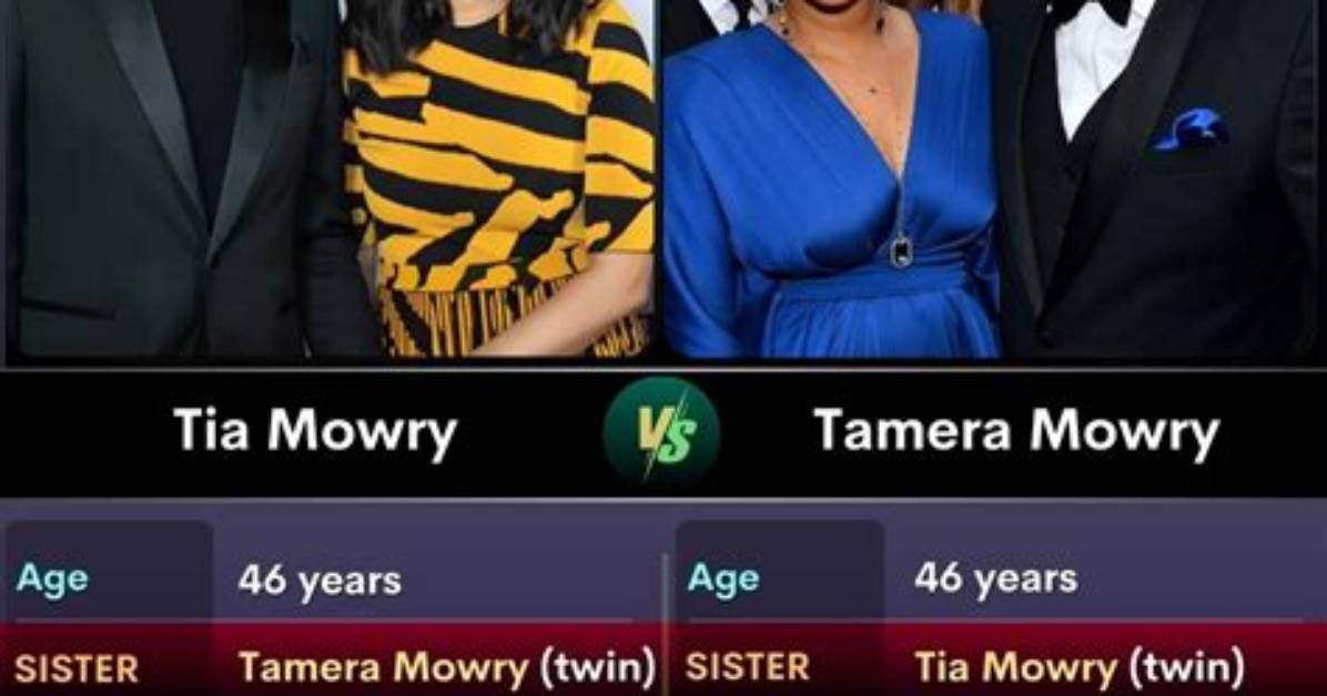 From Sitcom Reruns to Viral Fame Timeline of the Family Tools