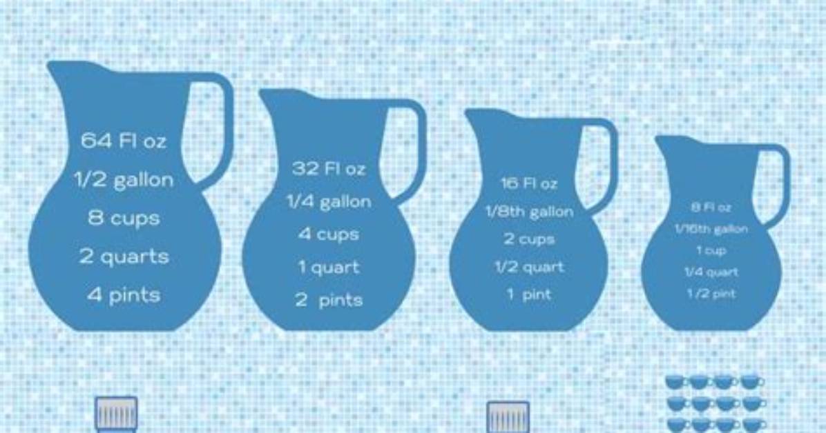 Gallon Pitcher Breakdown Visual Measurement Chart for Standard vs Family