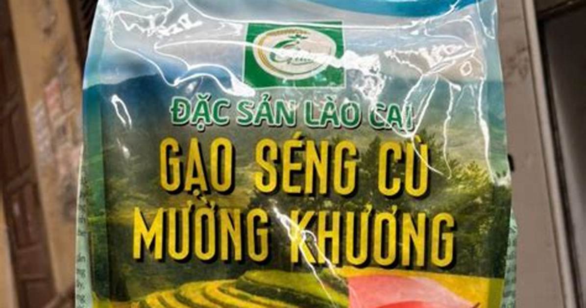 Gao Sen Tian Leno Lino Liao Jinto Ying Ye Shi Jianmatome Zhi Fani Fang Faya Zhou Bian Dian Putono Weiiwo Che Di Jie