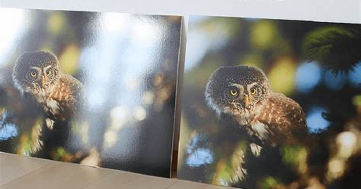 Glossy vs Matte Photo Prints