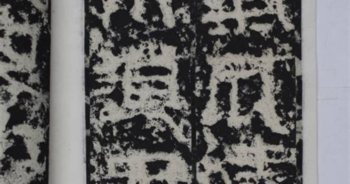 Hei Mumeisato Bei Shan Hong Guangno Guan Xi Xingha Jindounatteru Gong Yanngno Zunto Xian Zaino