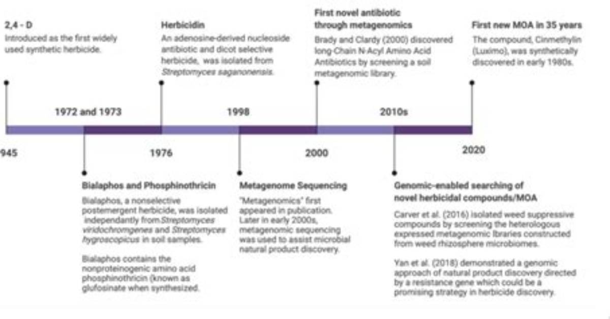 Herbicide Chemical Outbreak Timeline How School Spraying Triggered