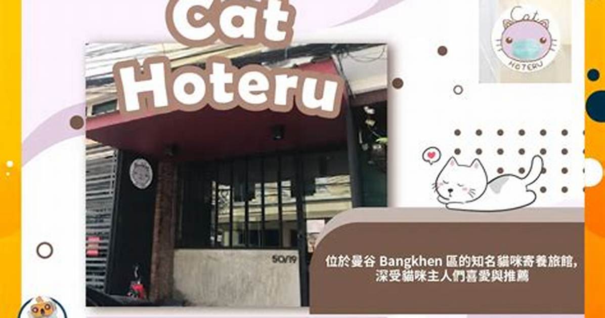 Hoteru Fei Niaoha Ben Dangni Pomaru Si Zhiari Liao Li Ke Shi Wen Quanno Koukomi Luotoshi Xuewo Ben Yin