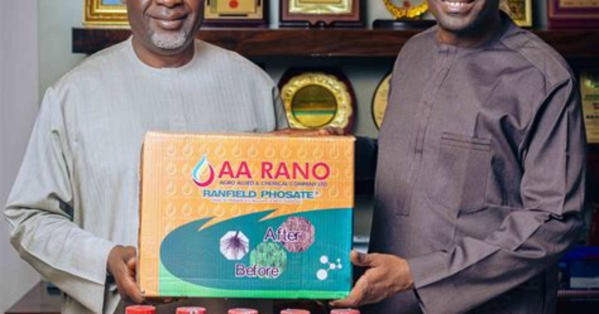 How Old Is Aa Rano the Truth Behind the Kano Oil Mogul S Rise and Exact