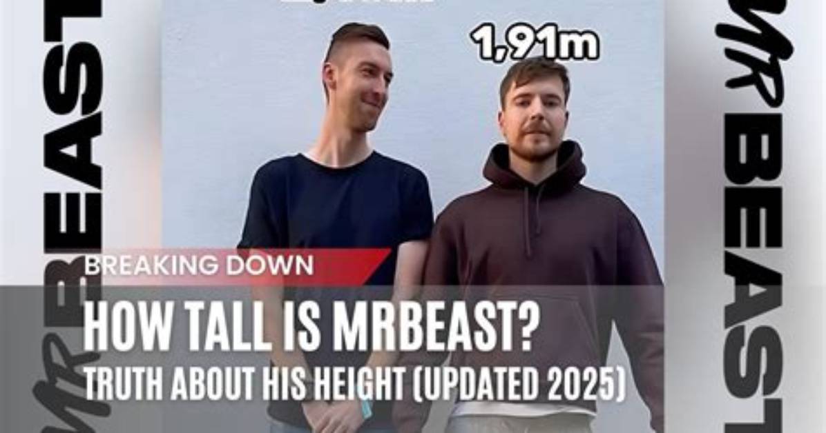 How Tall Is Mrbeast Debunking Google Snippets And