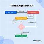 How the Tiktok Explore Algorithm Actually Works: Sorting Fact from Fiction