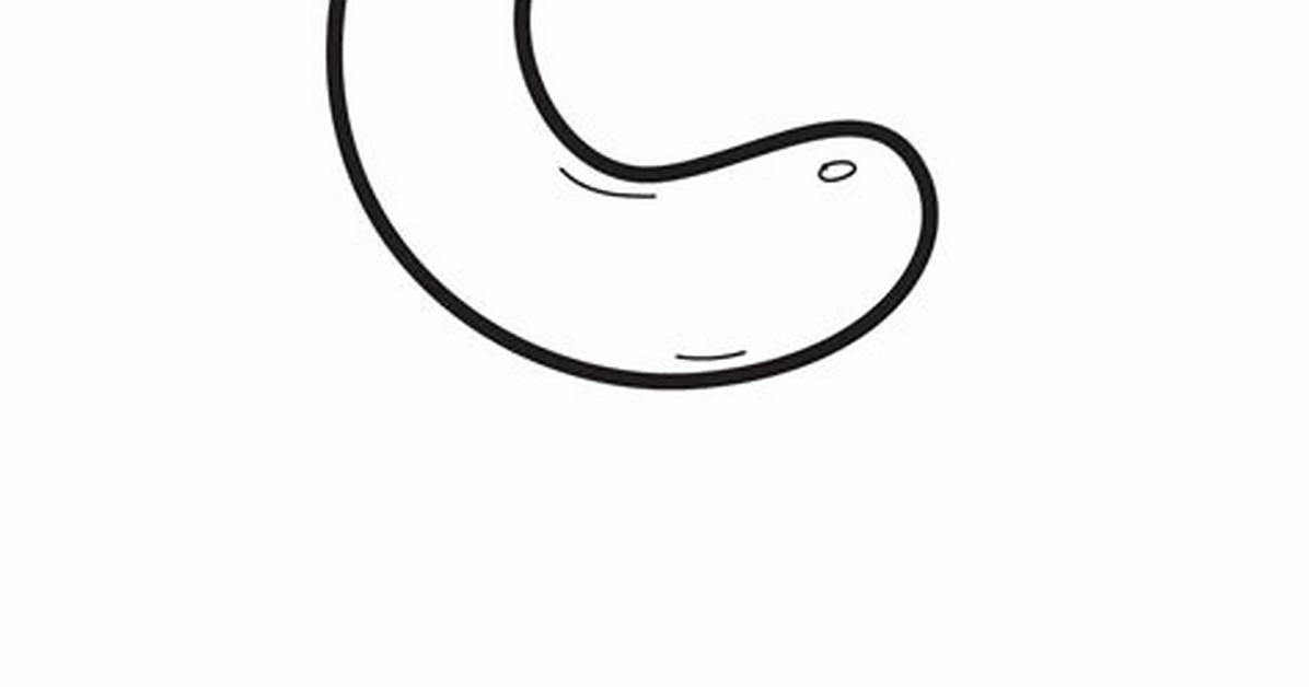 How to Draw a Bubble Letter C Step by Step Beginner Tutorial And
