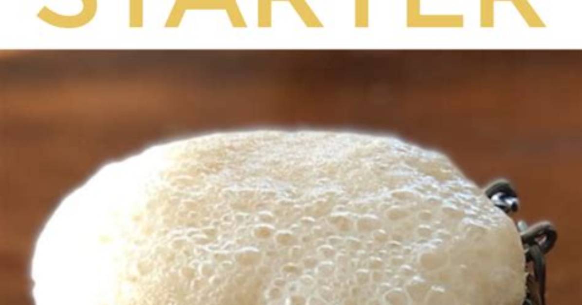 How to Make Amish Friendship Bread Starter from Scratch Ingredients Faq