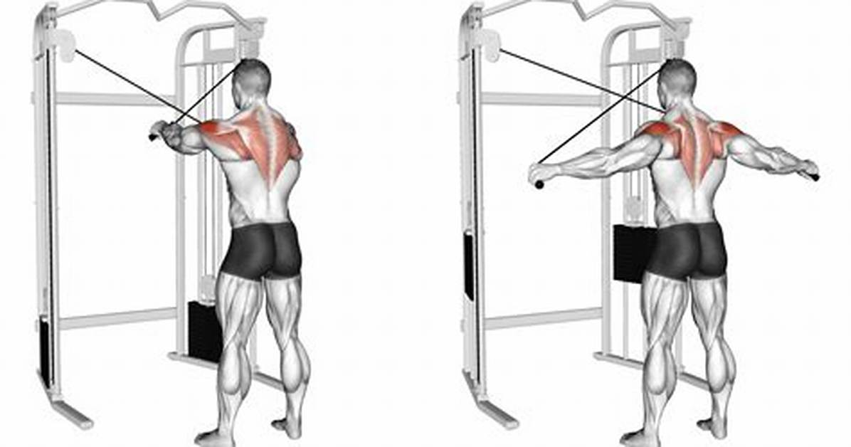 How to Master the Cable Reverse Fly Form Sets Reps And