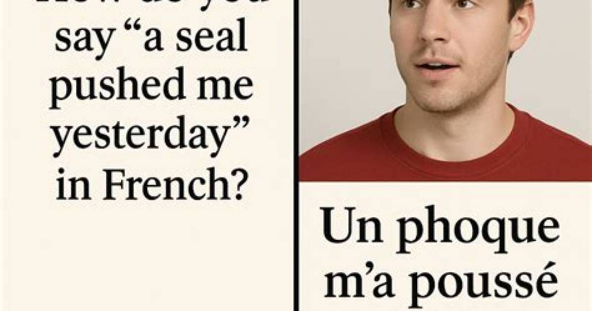 How to Say a Seal Pushed Me Yesterday in French Full Translation Pronunciation And