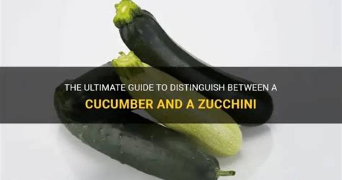 How to Tell Zucchini and Cucumber Apart Instantly 5