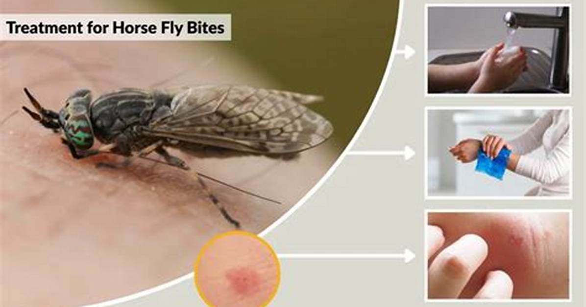 How to Treat a Horsefly Bite Complete Relief Guide Home Remedies And