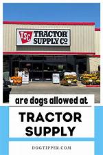 How to Use the Tractor Supply Dog Wash: Rules, What to Bring, and Step-by-Step Guide