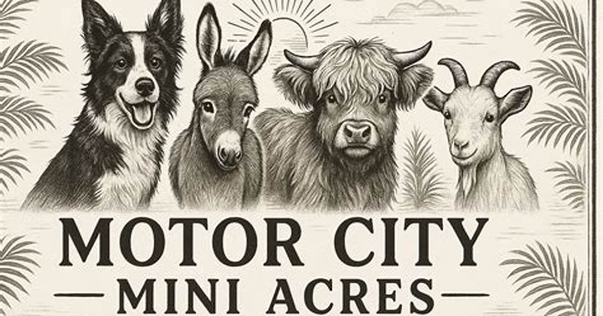 Inside Motor City Mini Acres the Florida Farm Making Waves with Mini