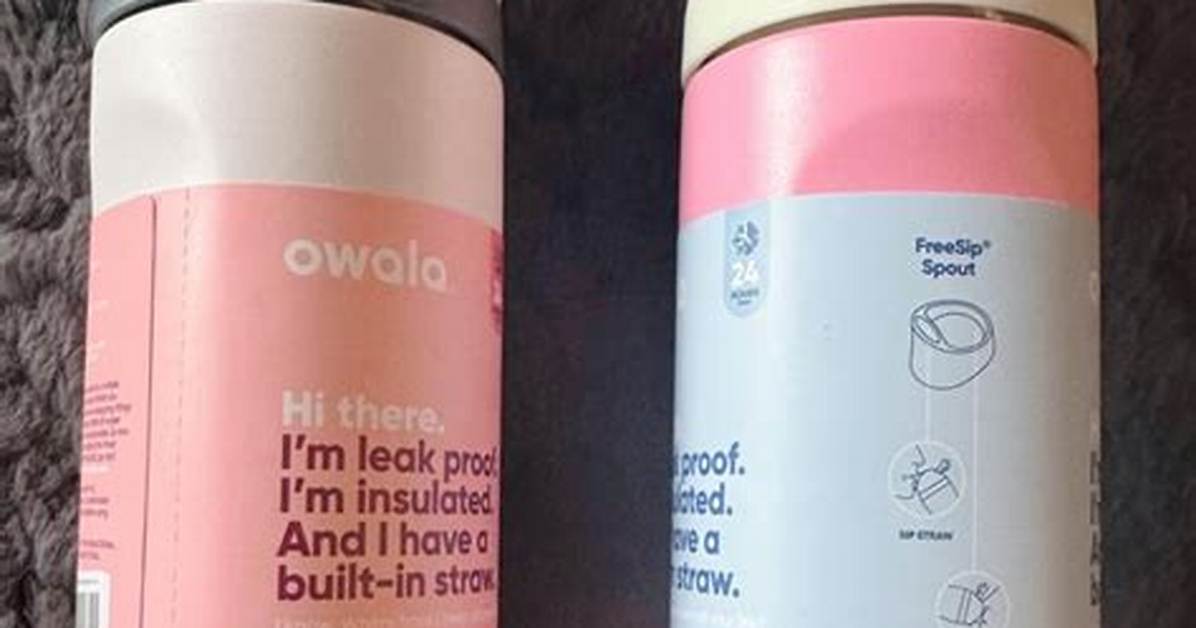 Inside the Candy Coated Owala Craze Why This Water Bottle
