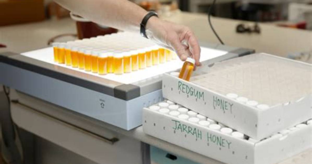 Inside the Honey Pack Lab Testing Reveals What Is Really Inside Natural