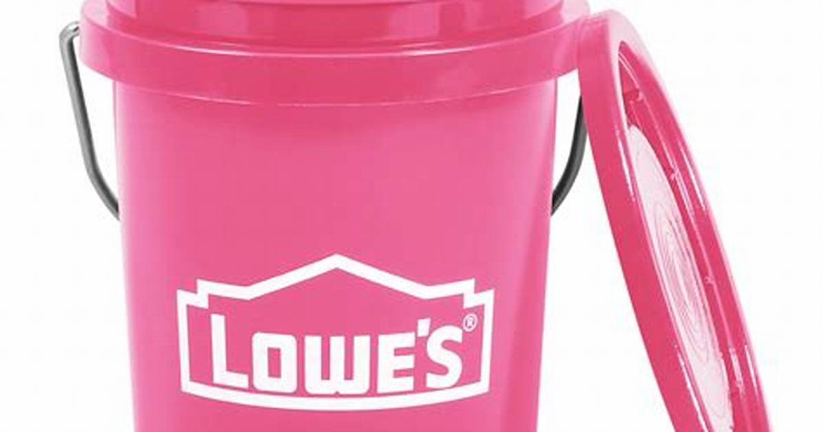 Inside the Viral Lowe S Pink Mini Bucket Hype Real Photos And