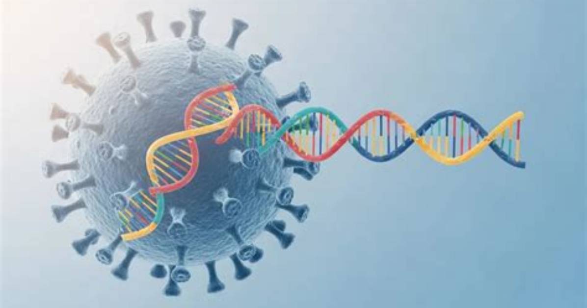 Inside the Viral