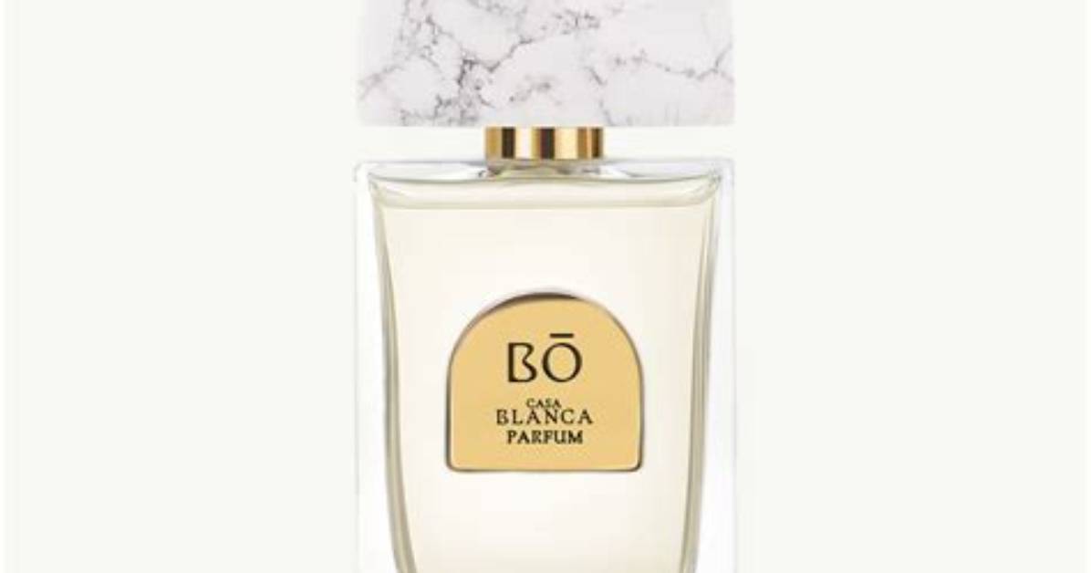 Is House of Bo Really Worth the Splurge the Raw Truth Behind the Viral Niche