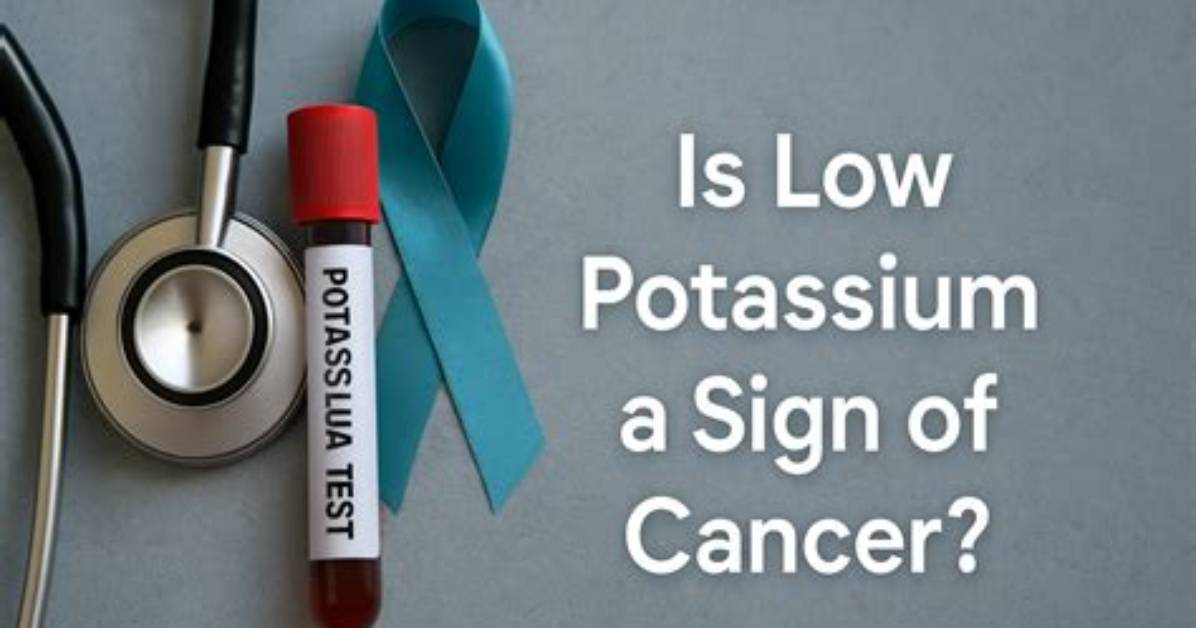 Is Low Potassium a Sign of Cancer Fact Checking Blood