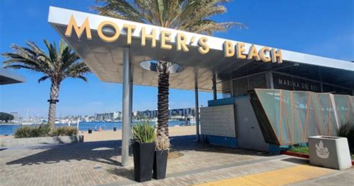 Is Mother S Beach Safe the Real Truth Behind Long Beach S Calmest