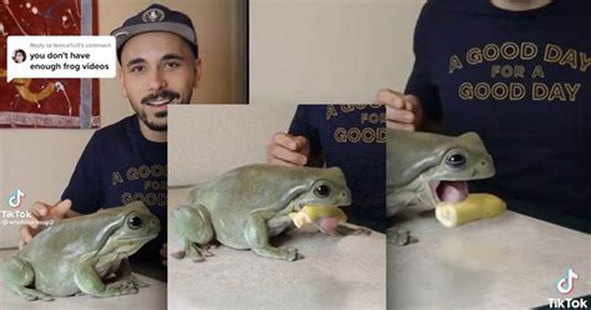 Is That Viral Giant Frog Real the Shocking Truth Behind Earth S