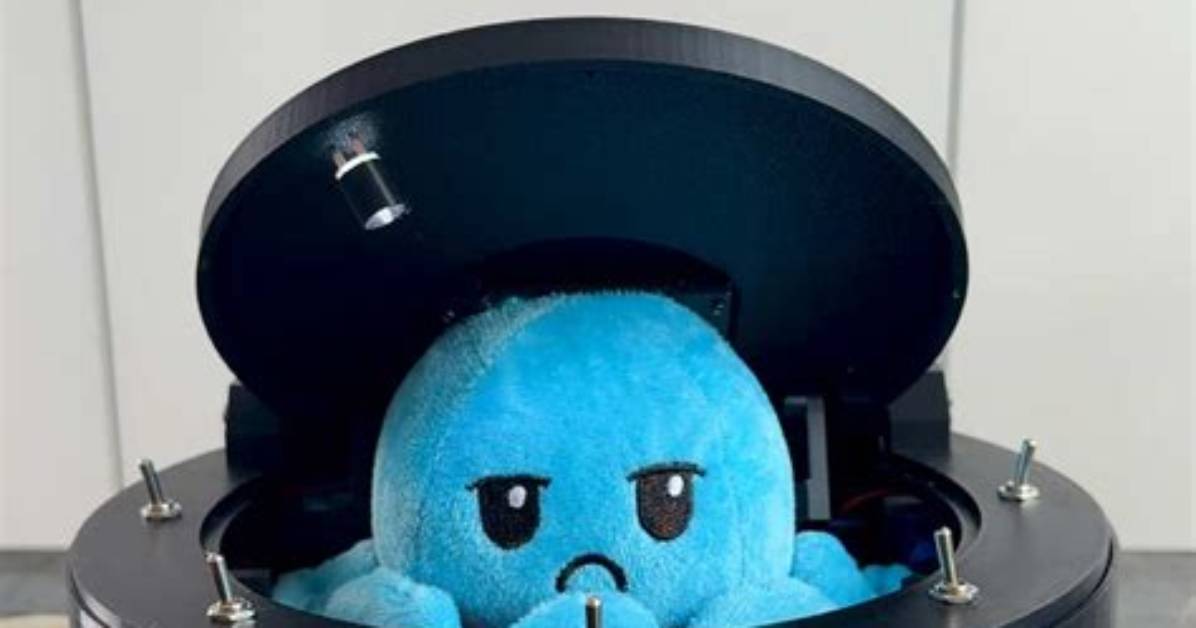Is the Viral Octopus Useless Box Real the Surprising Tech Behind The