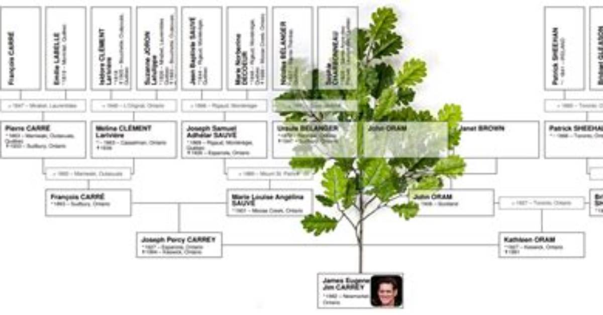 Jim Carrey S Family Tree Explained the Real Ancestry and Cultural