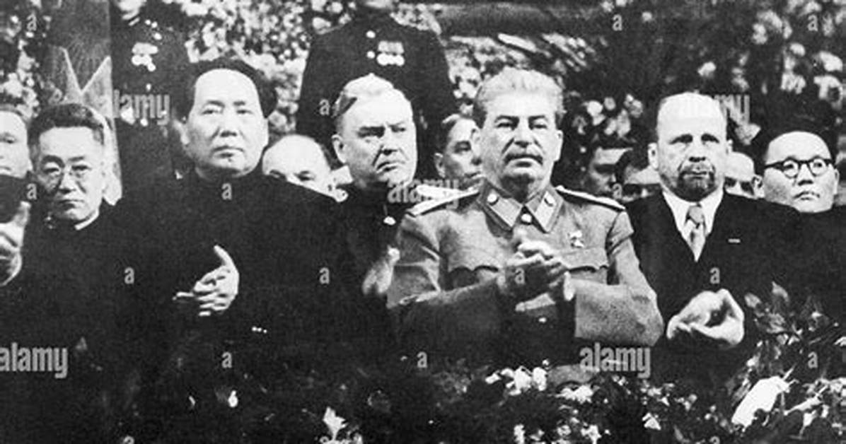Mao Mihorudaha100Junde Maieru Seria Daisono Zhuan Yong Pinto Dai Yongaideawo Che Di Jie