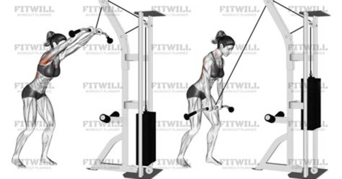 Master the Straight Arm Cable Pulldown Step by Step Form Variations And