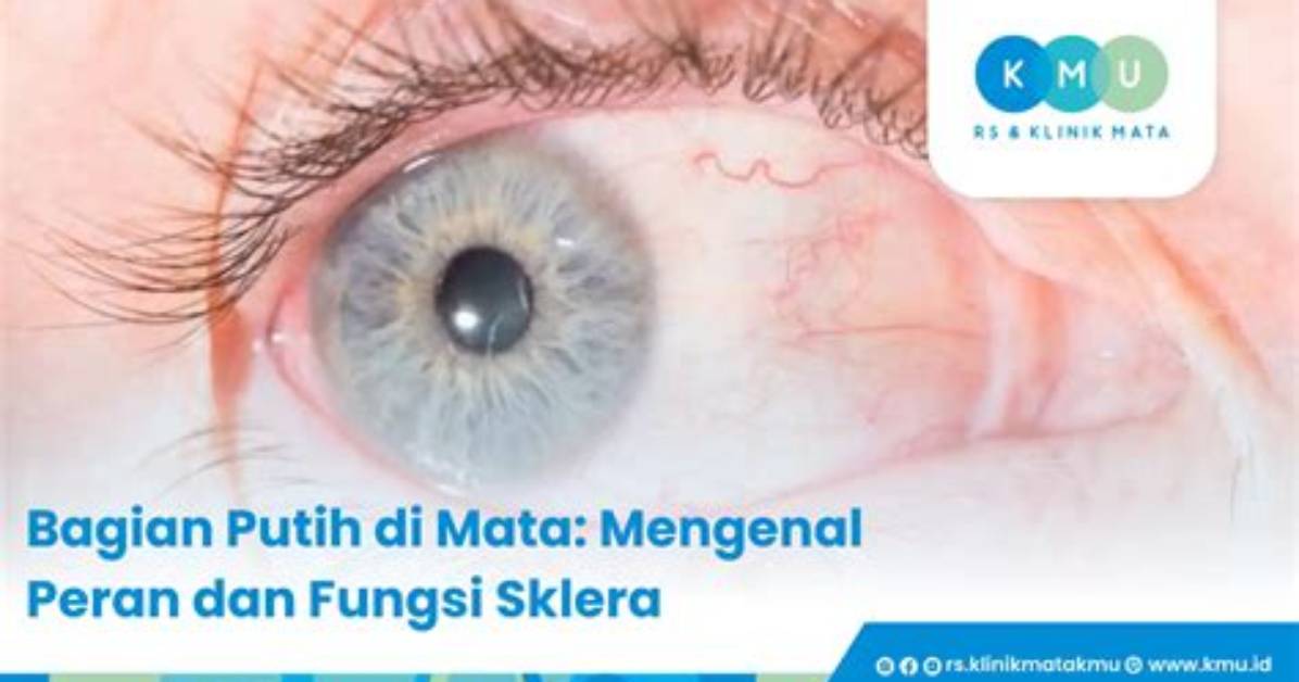 Mata Tongji Mengwo Jianteita No Du Shu Gan Xiang Wen Gong Lue Zui You Xiu Shangni Xuebutema She Dingto Gou Chengwo Che Di Jie