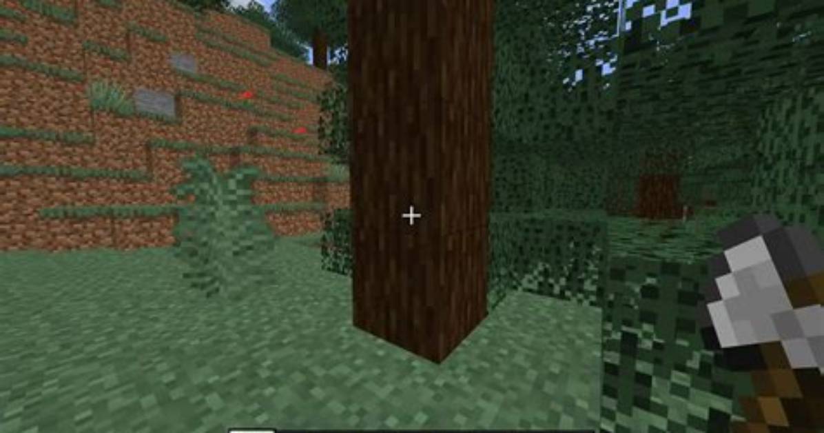 Minecraft Spruce Wood Master Guide Finding Biomes Farming And