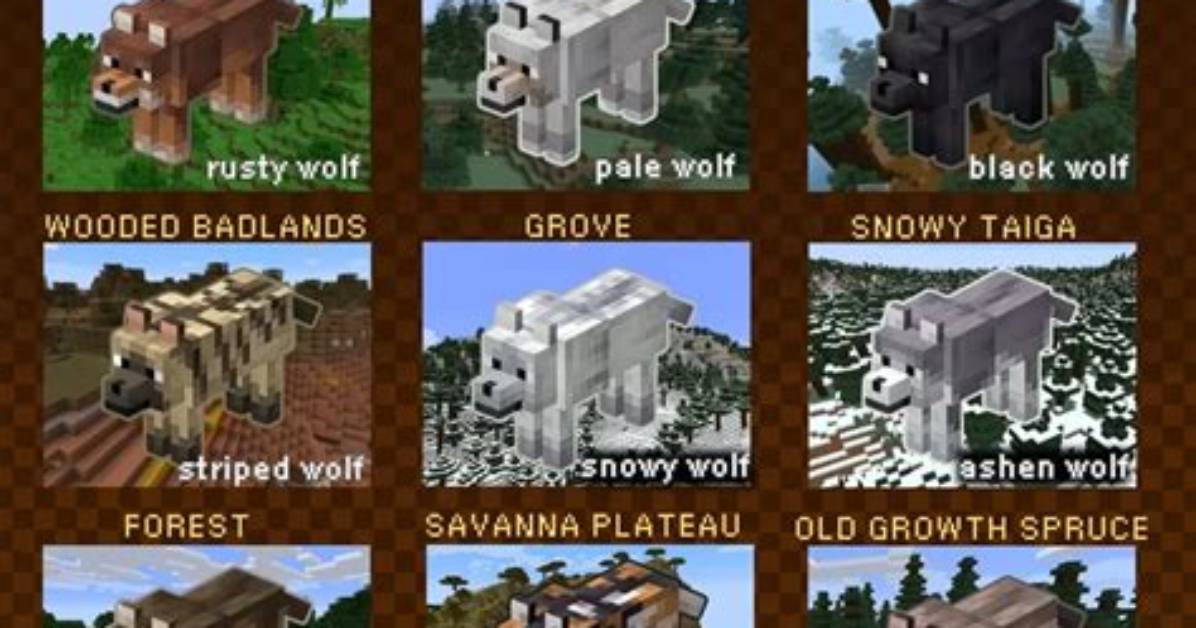 Minecraft Wolf Variants Update How to Find and Summon Every New