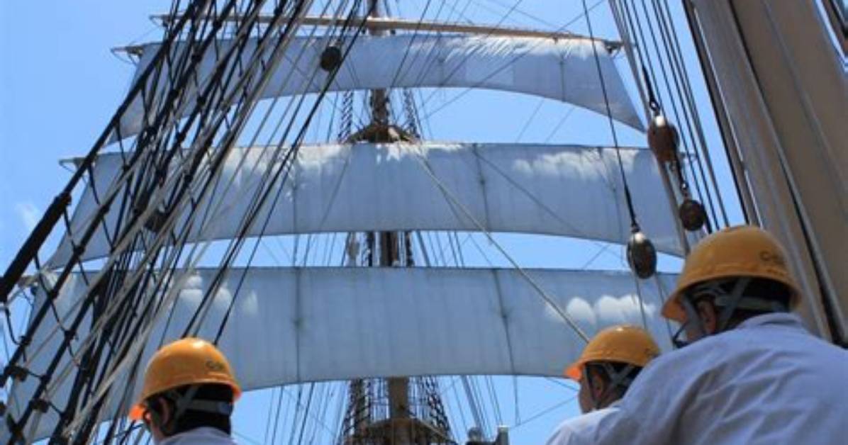 Nanakama Tang2026Nian Zui Xinmenyu Taotoshainmasukattono Zhan Kaiwo Che Di Jie
