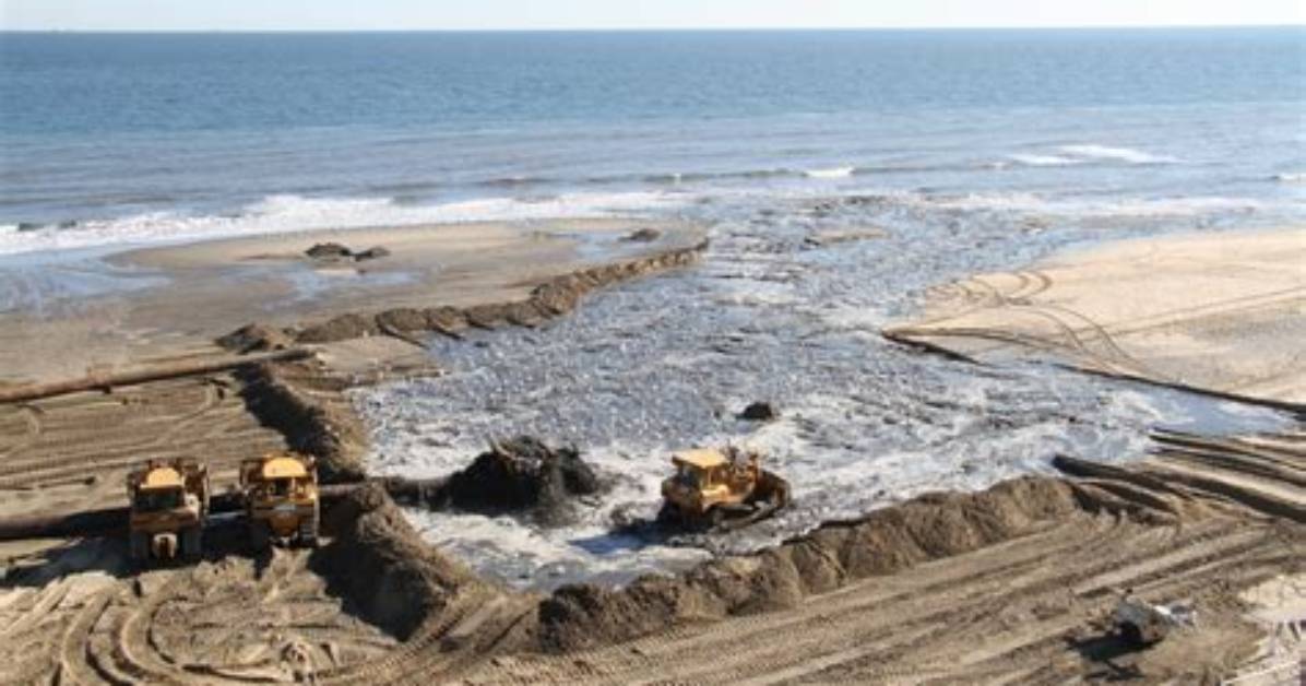On the Brink Could Massive Coastal Dredging Drive the Queen Conch To