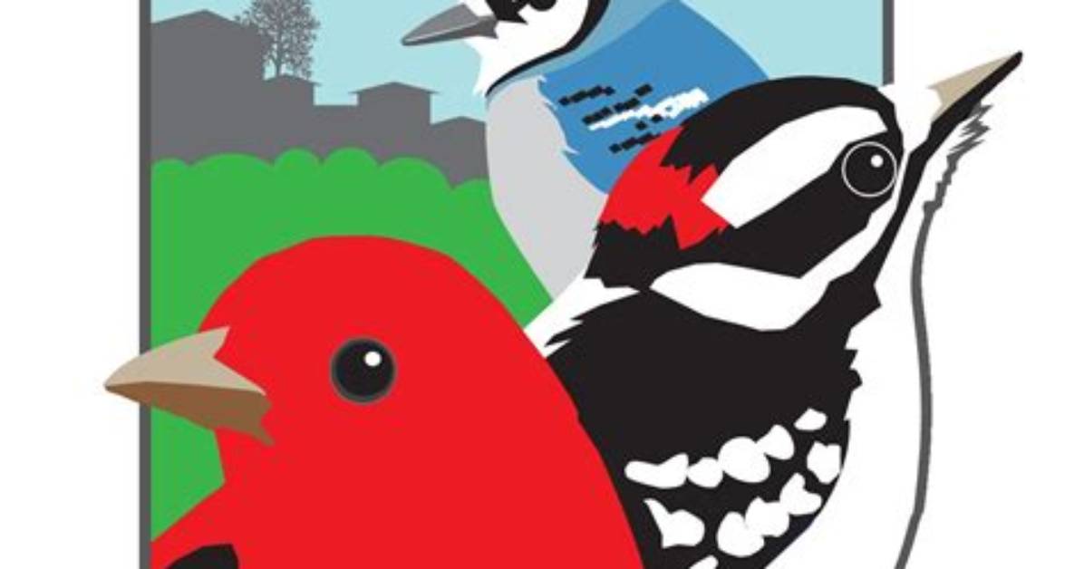 Pennsylvania Wildlife Update How Bird Town Initiatives and Forestry Projects Target