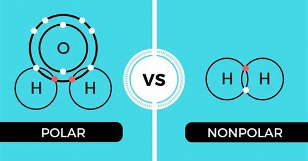 Polar vs Nonpolar Chemistry Explained Fact