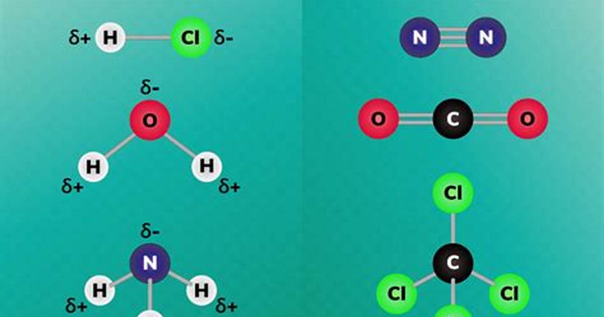 Polar vs Nonpolar Chemistry