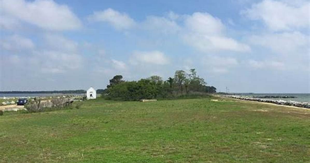 Police Swarm Point Lookout State Park Law Enforcement Activity And