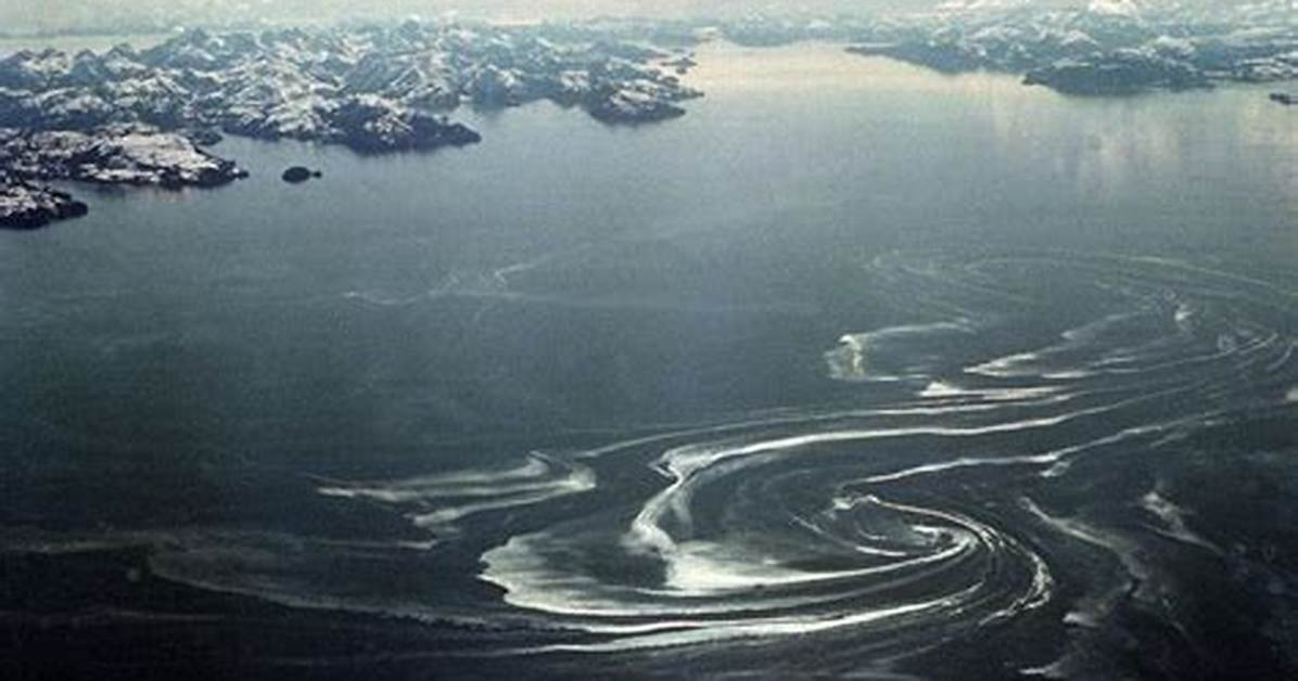 Prince William Sound Environmental Milestones from 1989 Disaster To