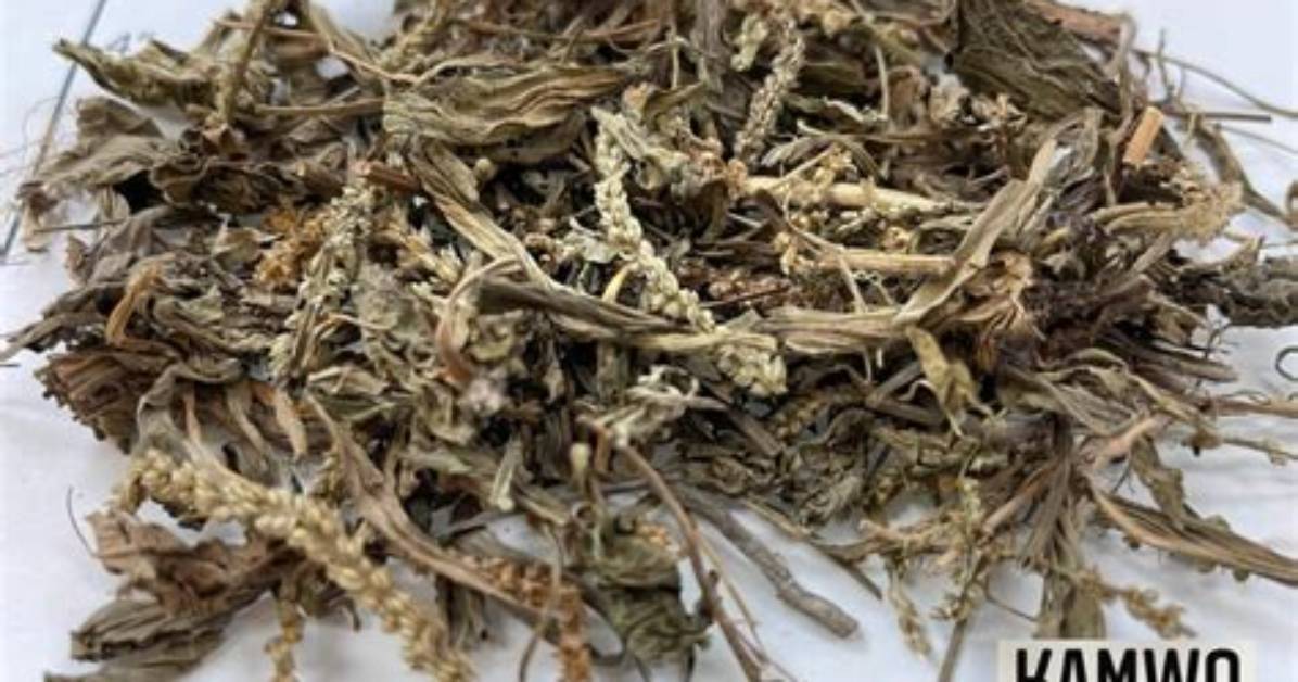 Qian Cao Qiao Ben Diannofuroa Wan Quangaido Jiegotono Qu Xipatsuto Bi Jiankonawo Che Di Bi