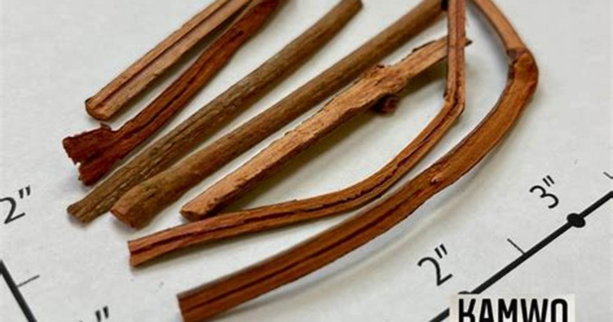 Qian Cao Wen Hua Guan Guangsentano Huiri Fang Wan Quan Gong Lue Fa Ying Ye Shi Jian Akusesuto Zhou Bianruto Che Di Jie