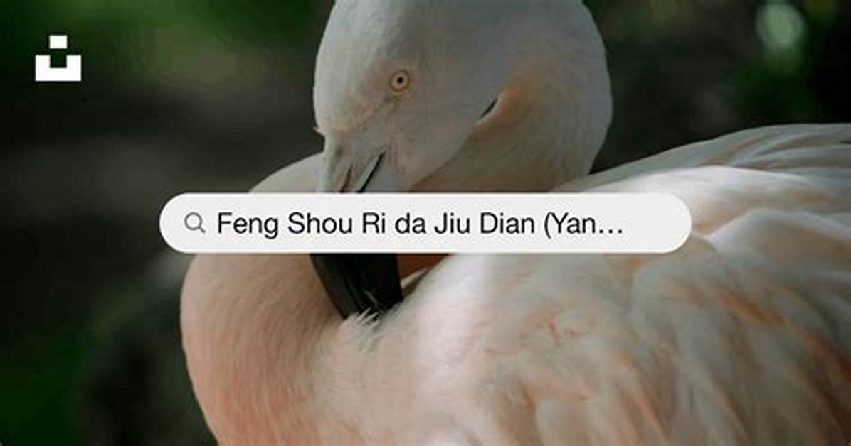 Ri Bennoapplestore Gou Rugaido Dian Pu Shouke Qurino Shou Shunto Bi Yao Shu Leiwo Che Di Bi