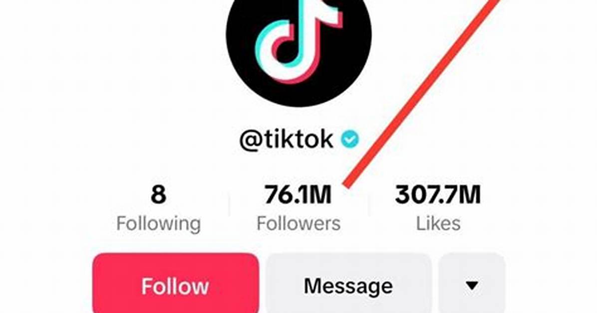Rogue Tiktok Account Cracking Down Why Communities and Schools Are Sounding The