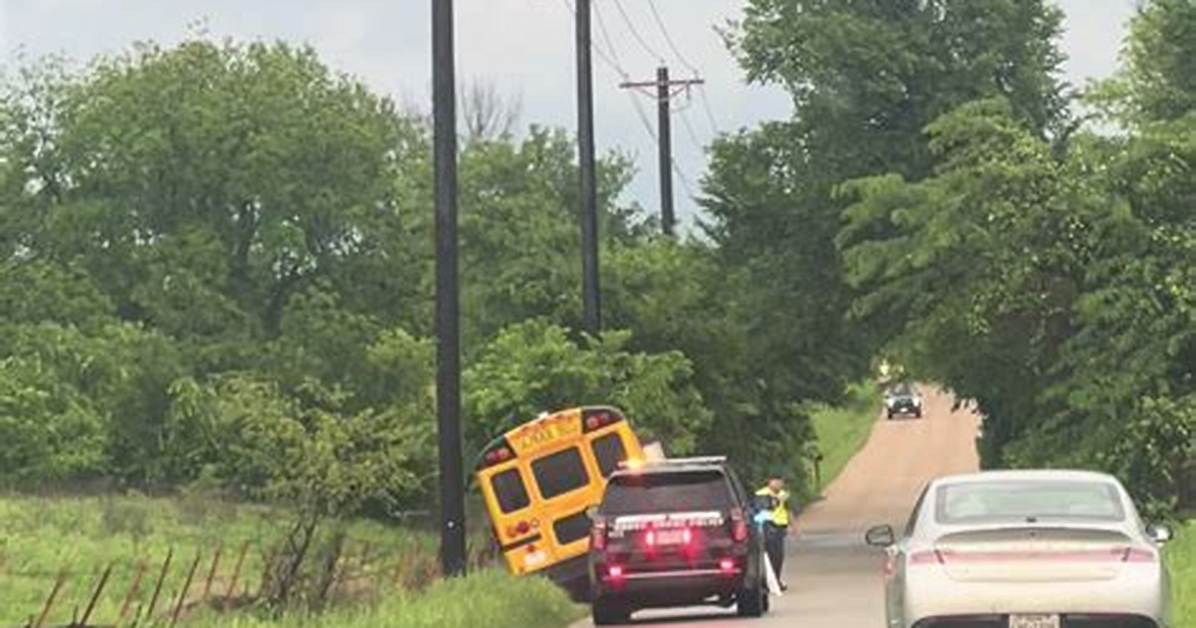 Rose Monroe Bus Trend Explained the Viral Clip Sparking