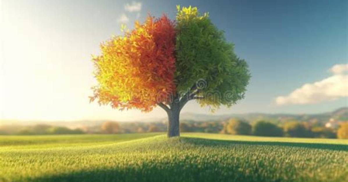 Seasonal Weather Shift Sparks Massive Surge in 70 F To